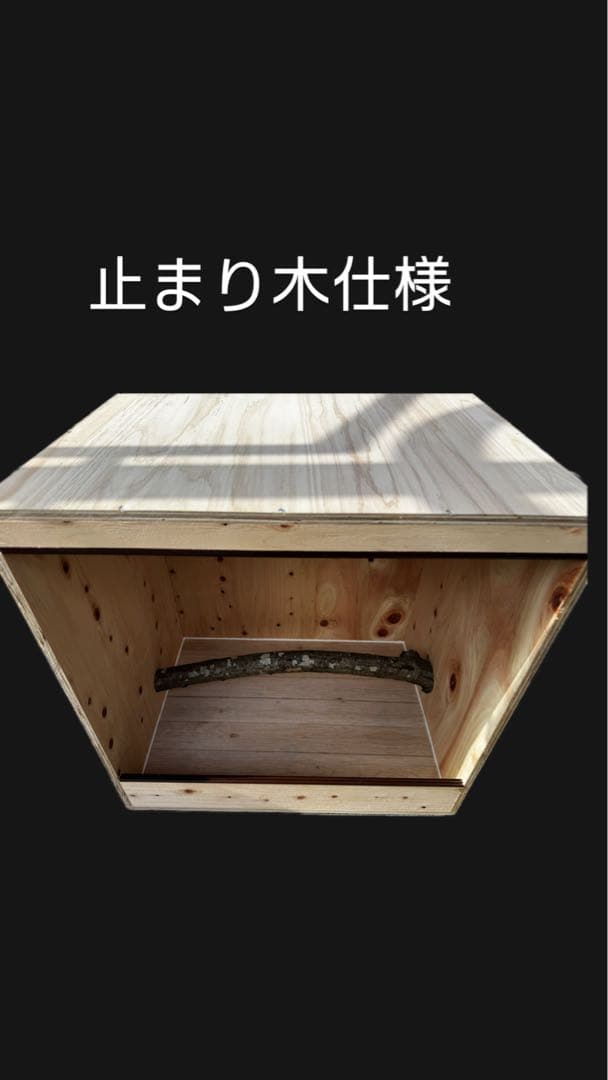 飼育ケージ　爬虫類ケージ　フトアゴ