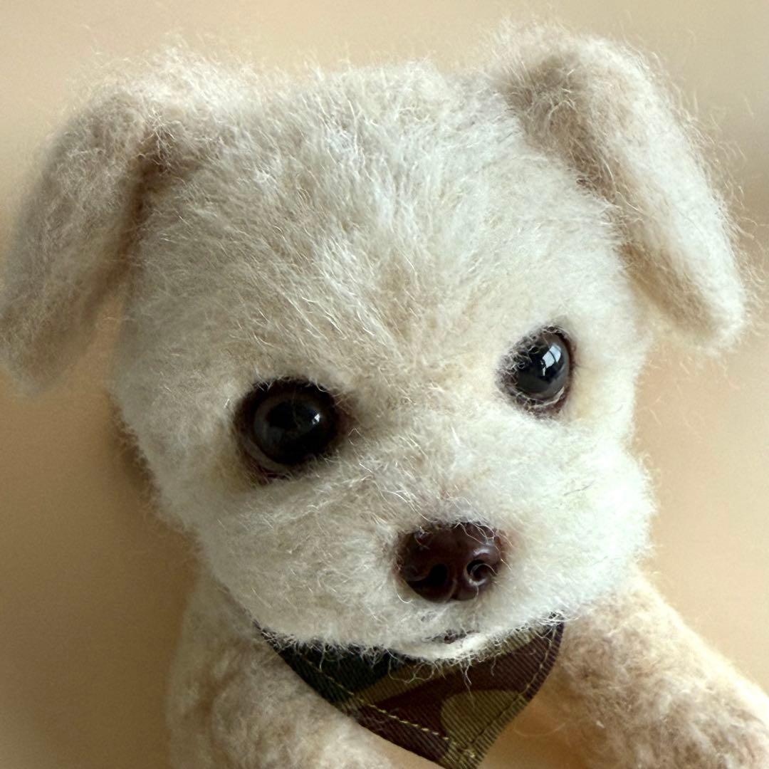 HFオーダーページ