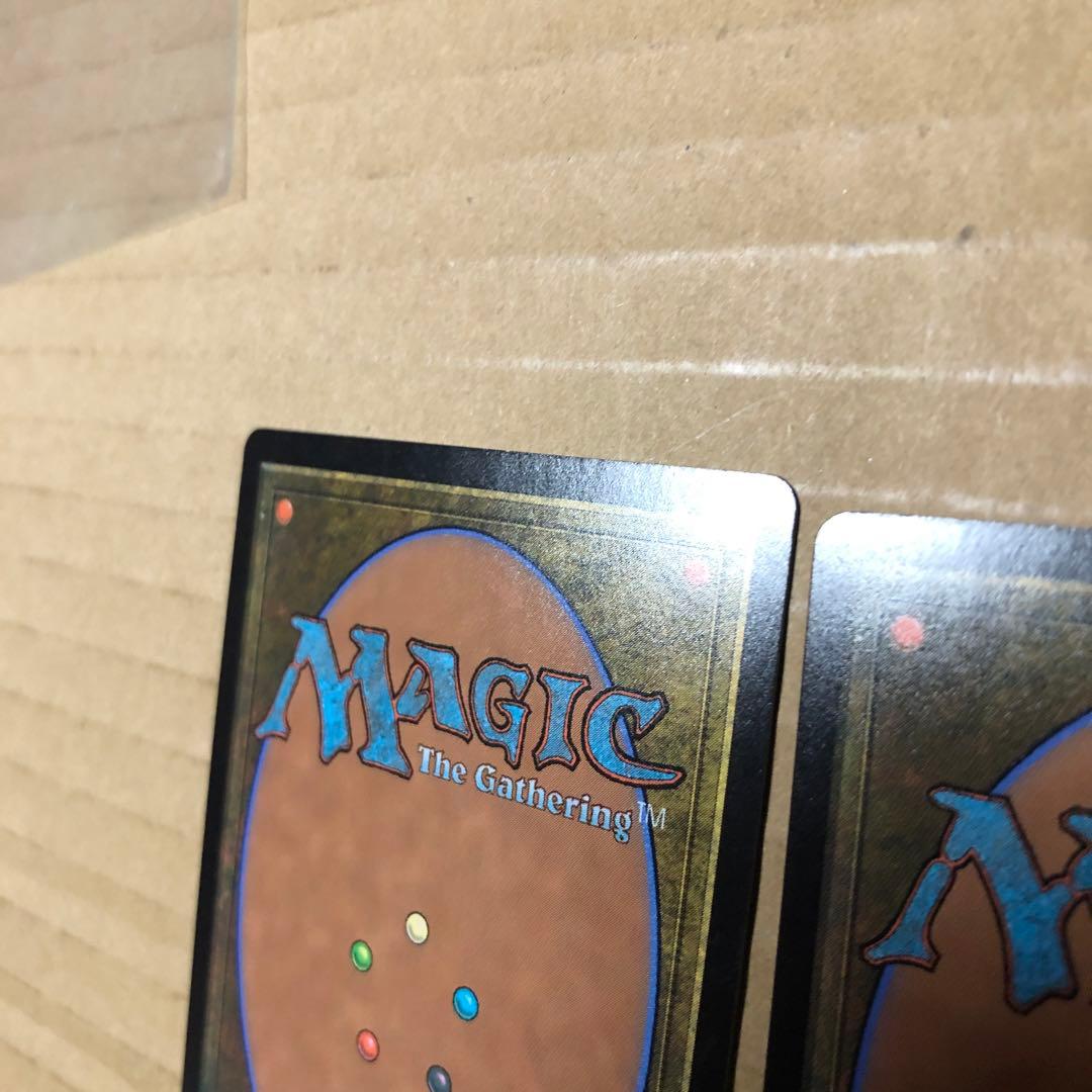 MTG　溢れかえる岸辺　エクスペディション　日本語　2枚セット