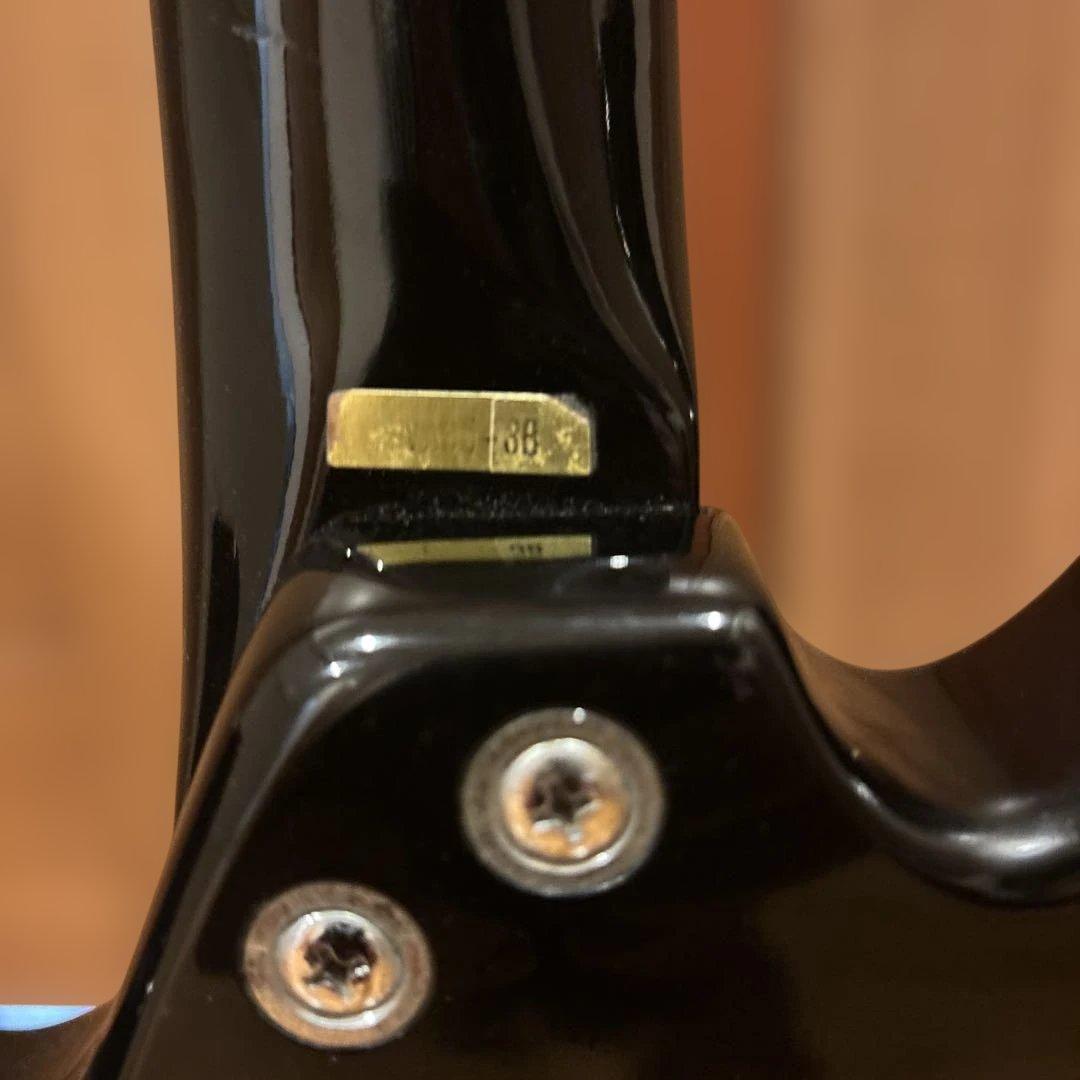 Aria Pro II Vanguard 353 トレモロアーム付 新品弦張替済