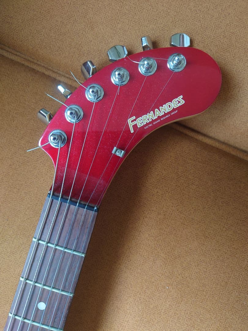 Fernandes DIGI-ZO エフェクター内蔵 アンプ内蔵 ぞーさん