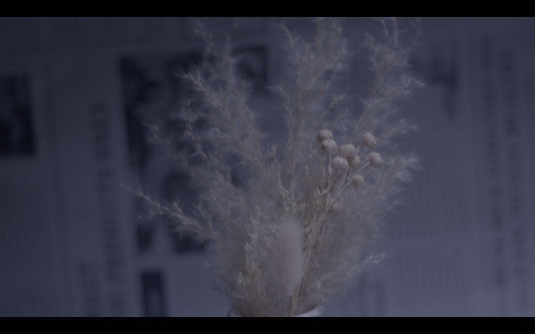 ISCO-GOTTINGEN 85mm f2.8 m42マウント