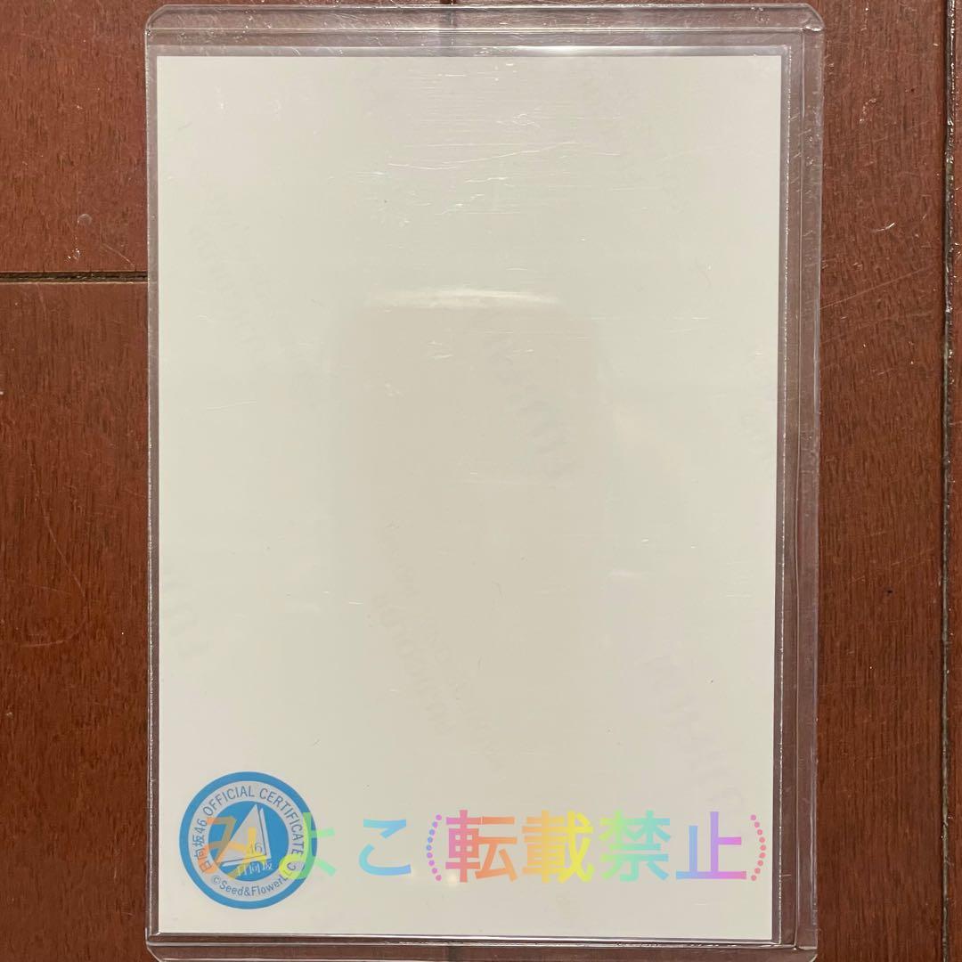 今だけ値下げ中 蔵盛妃那乃 直筆サイン入り生写真 2025年浴衣