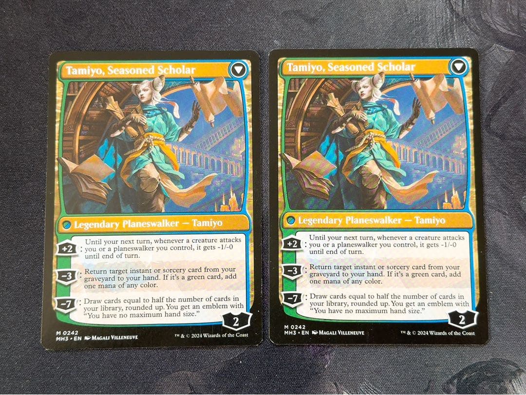 知りたがりの学徒、タミヨウ　英語　2枚セット