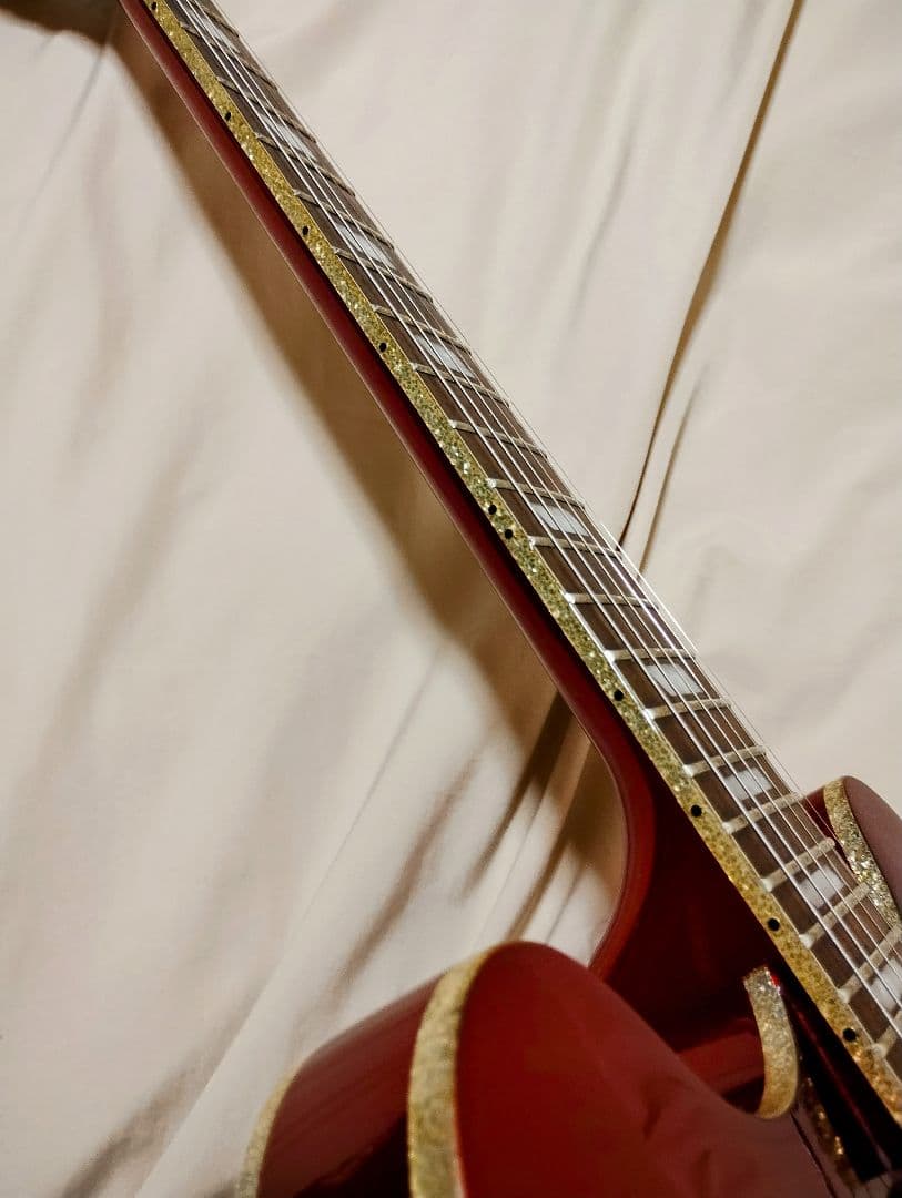 Epiphone Ltd Ed Riviera Custom P93 RP/美品