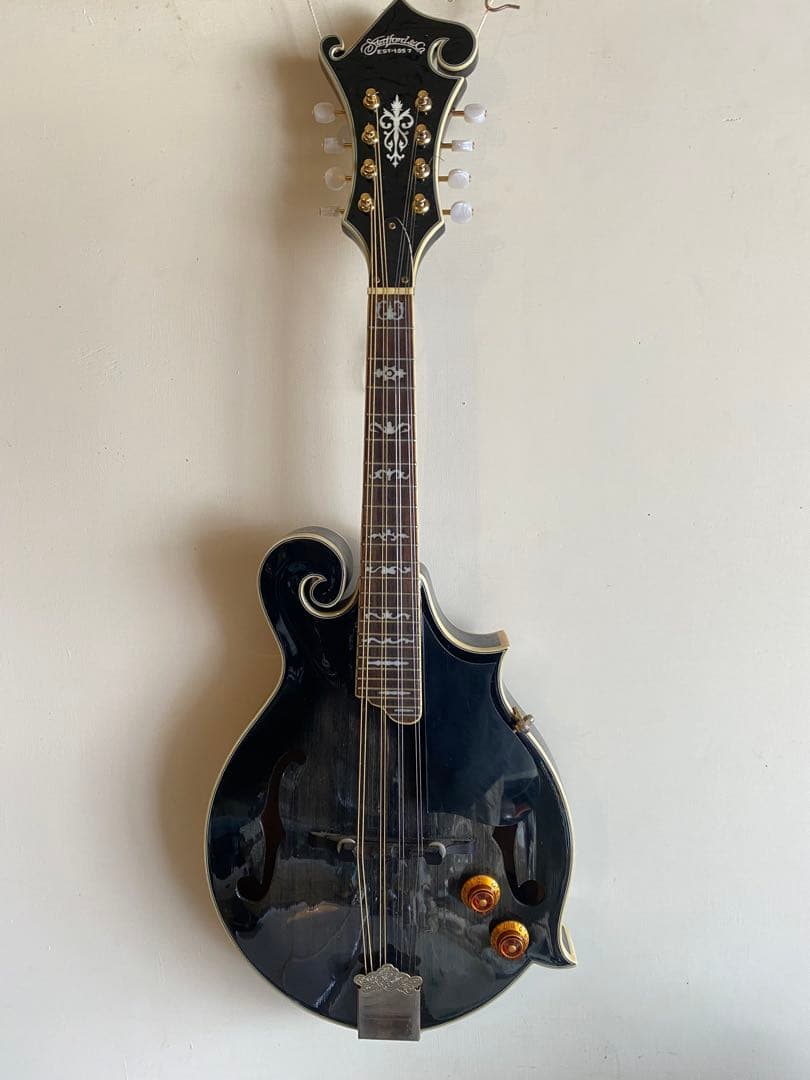 StaffordスタッフォードF-Style エレクトリック・フラットマンドリン