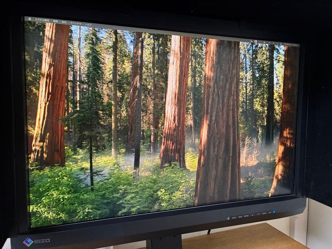 EIZO ColorEdge CX241 使用少 カラーキャリブレーションモニタ