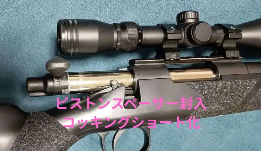 静音 カスタム VSR ＧーSPEC