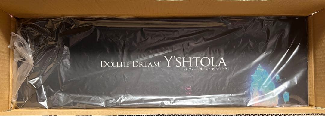 ヤ・シュトラ ドルフィードリーム DD ボークス 未開封 ボディタイツ、おまけ付