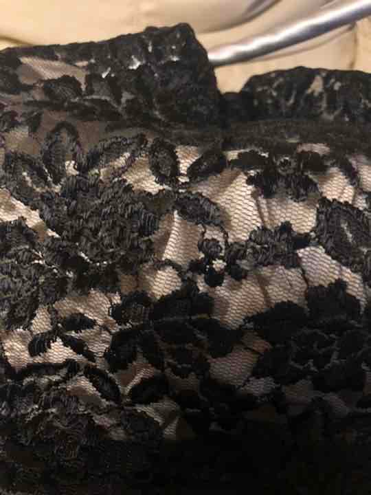 pupply hills パピリーヒルズ　キャリーバッグ