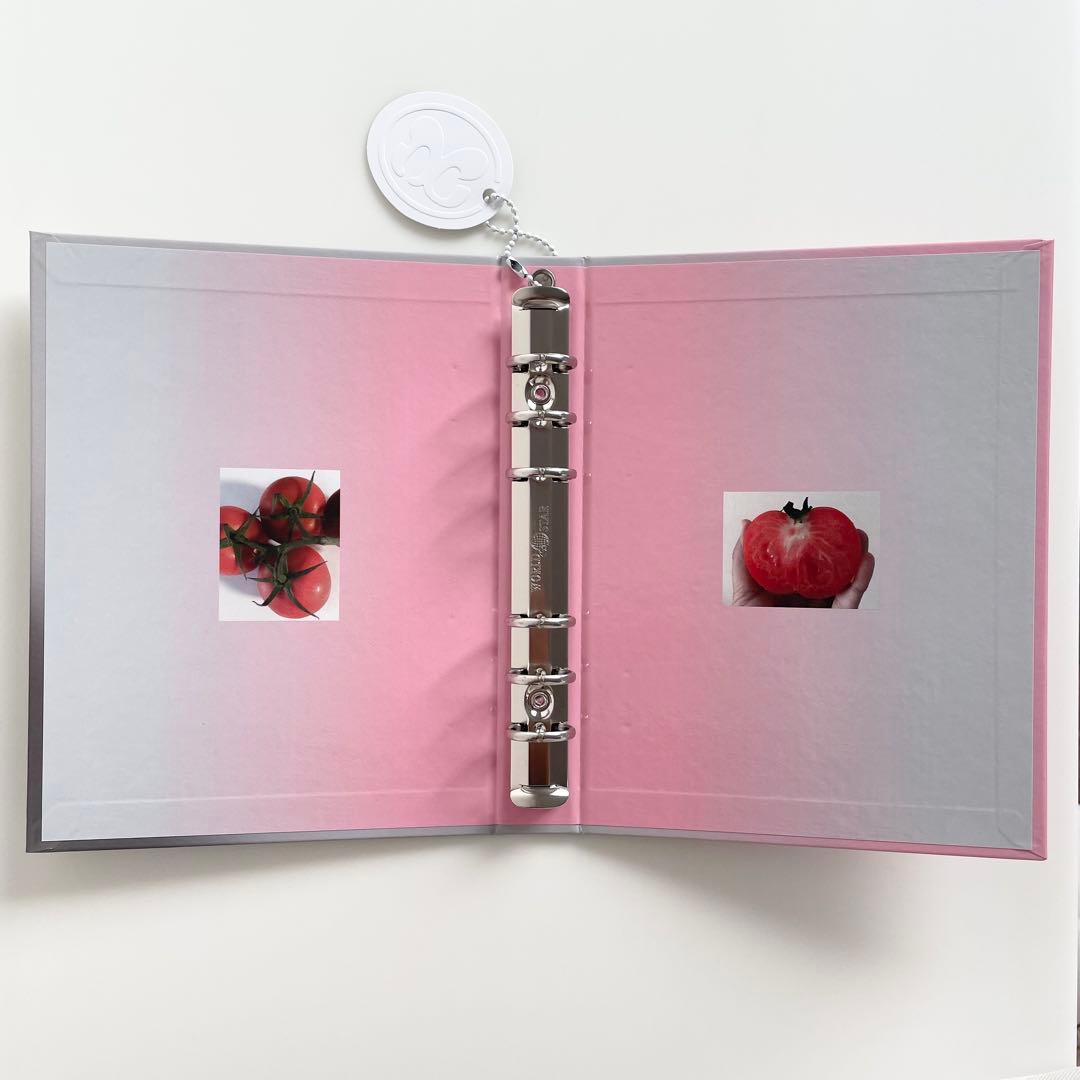 早い者勝ち　韓国　貯金　バインダー　カバー　A5 リフィル　トマト