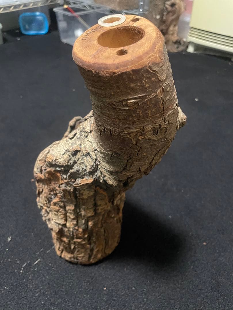 【激レア】　非売品　森兵衛　天然　シェルター