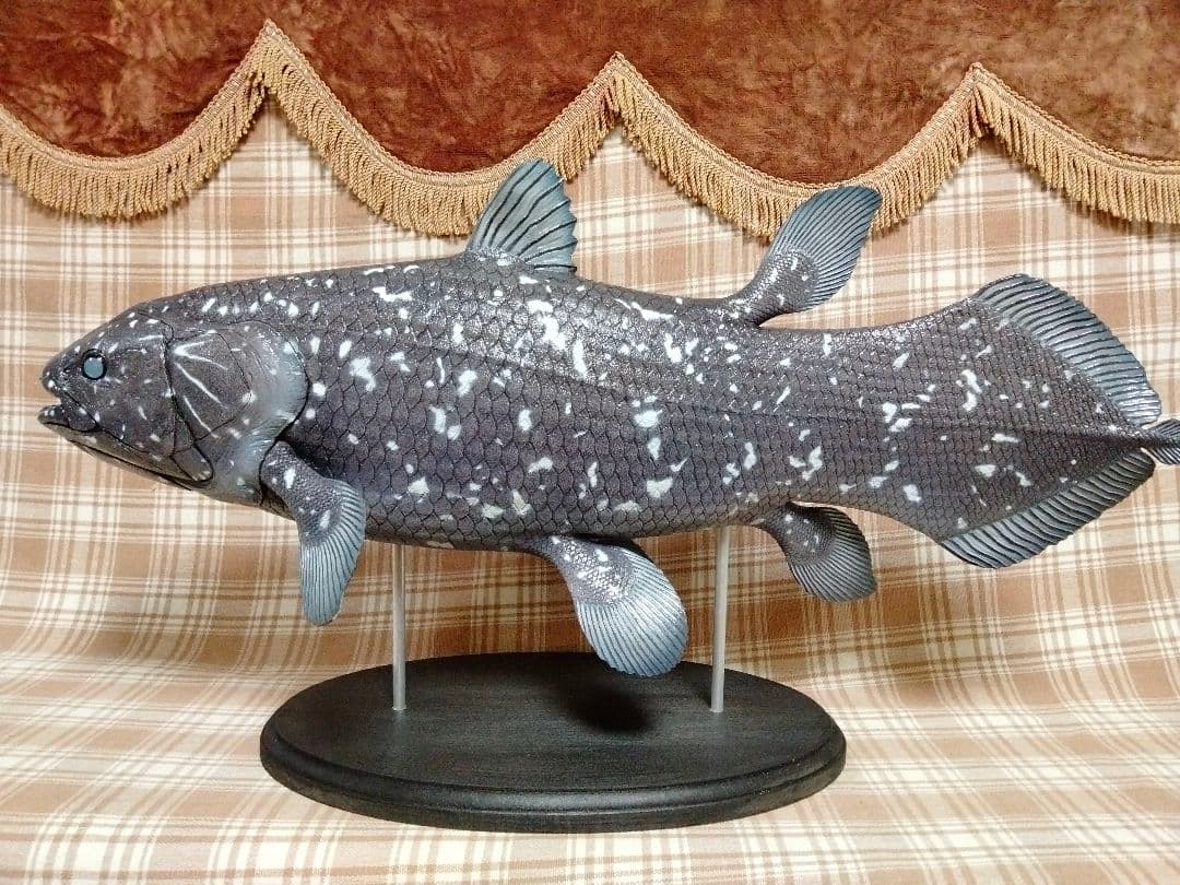 ハンドメイド　61cmシーラカンス　フィギュア　レプリカ　化石魚　古代魚　置物