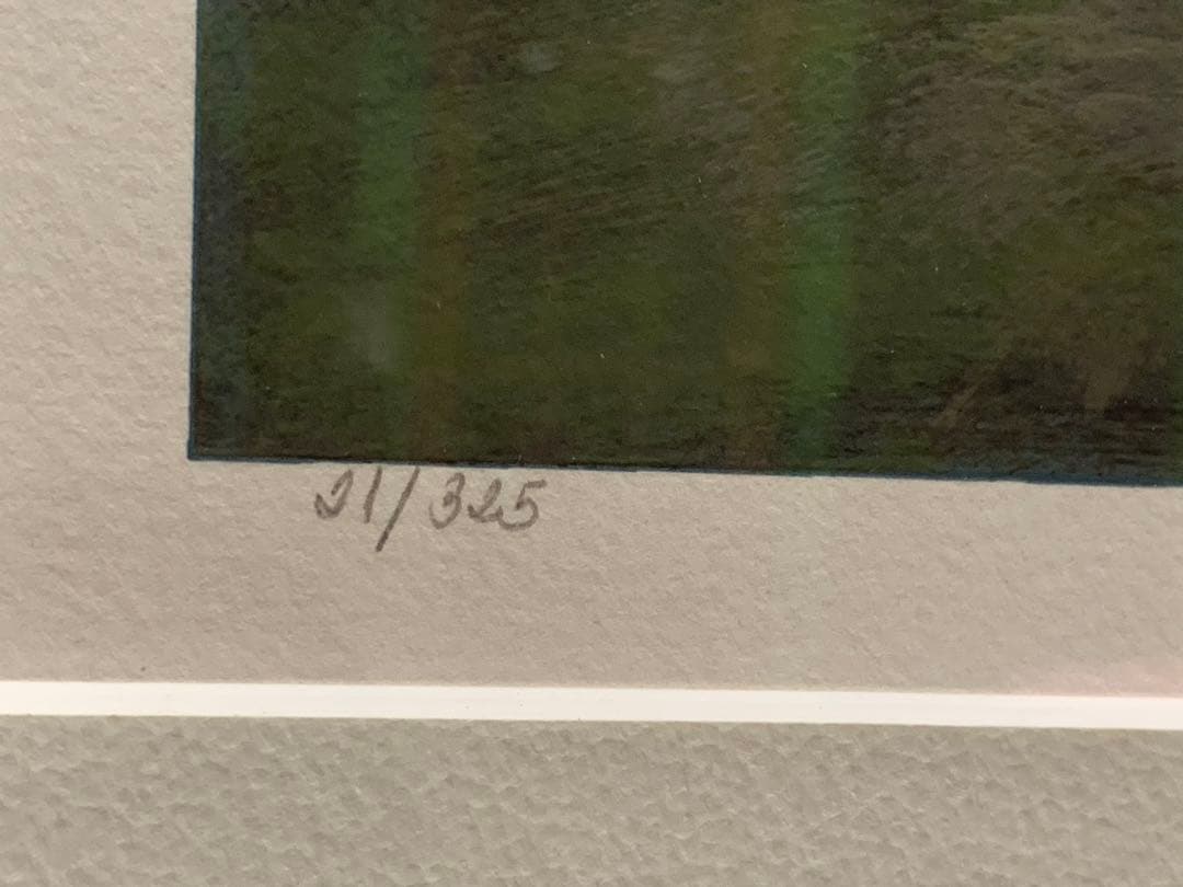 Chase Chen (チェイス・チェン) 直筆サイン入り 絵画‼️