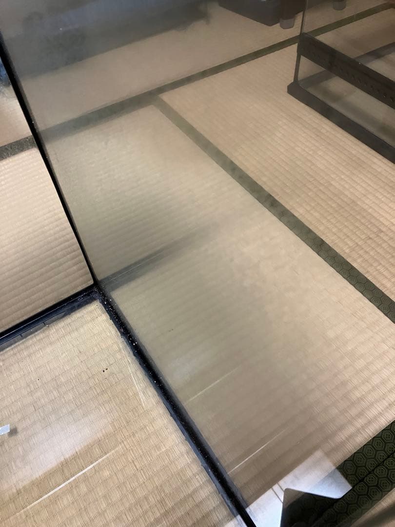 【送料込み】グラステラリウム4560 本体のみ