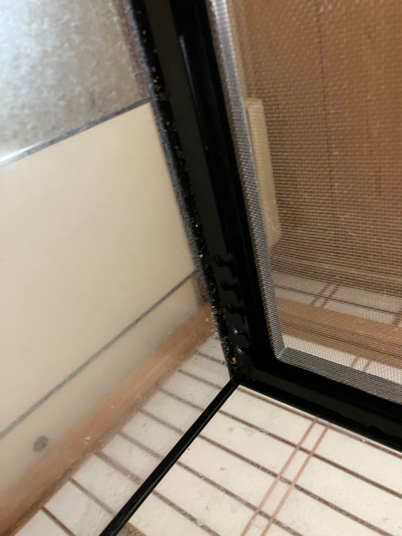 【送料込み】グラステラリウム4560 本体のみ