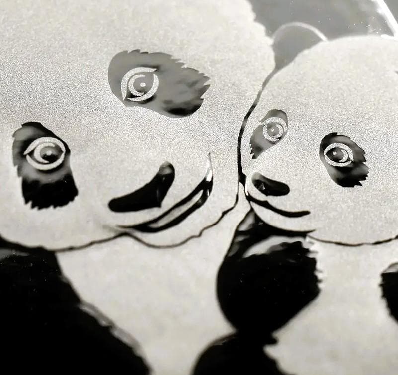 プ*ン様 2024 (新品未使用) 中国 パンダ銀貨 30g 10元(カプセル入