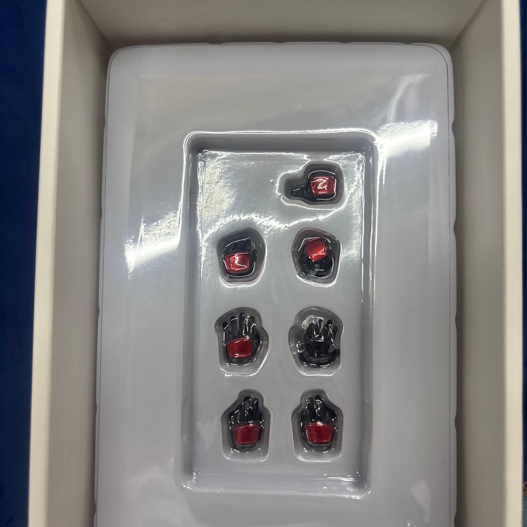 ジャンク品　真骨彫仮面ライダー