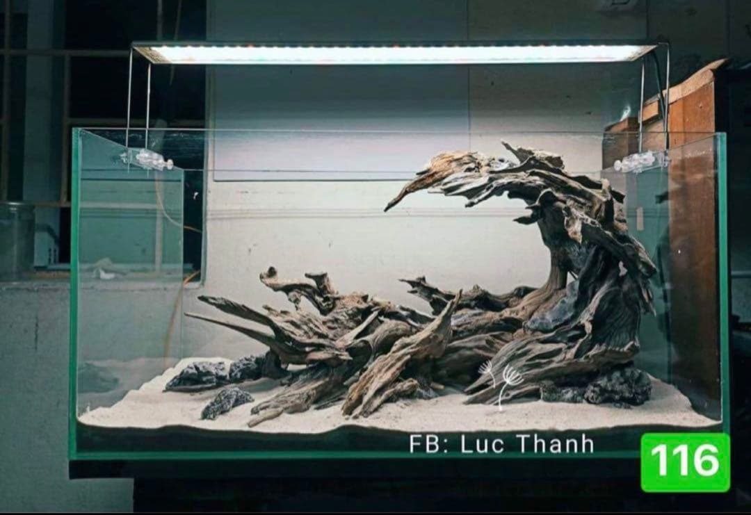 TTD 11690 【⭐︎ ヒロゾウサン様⭐︎】【美品・数量限定】