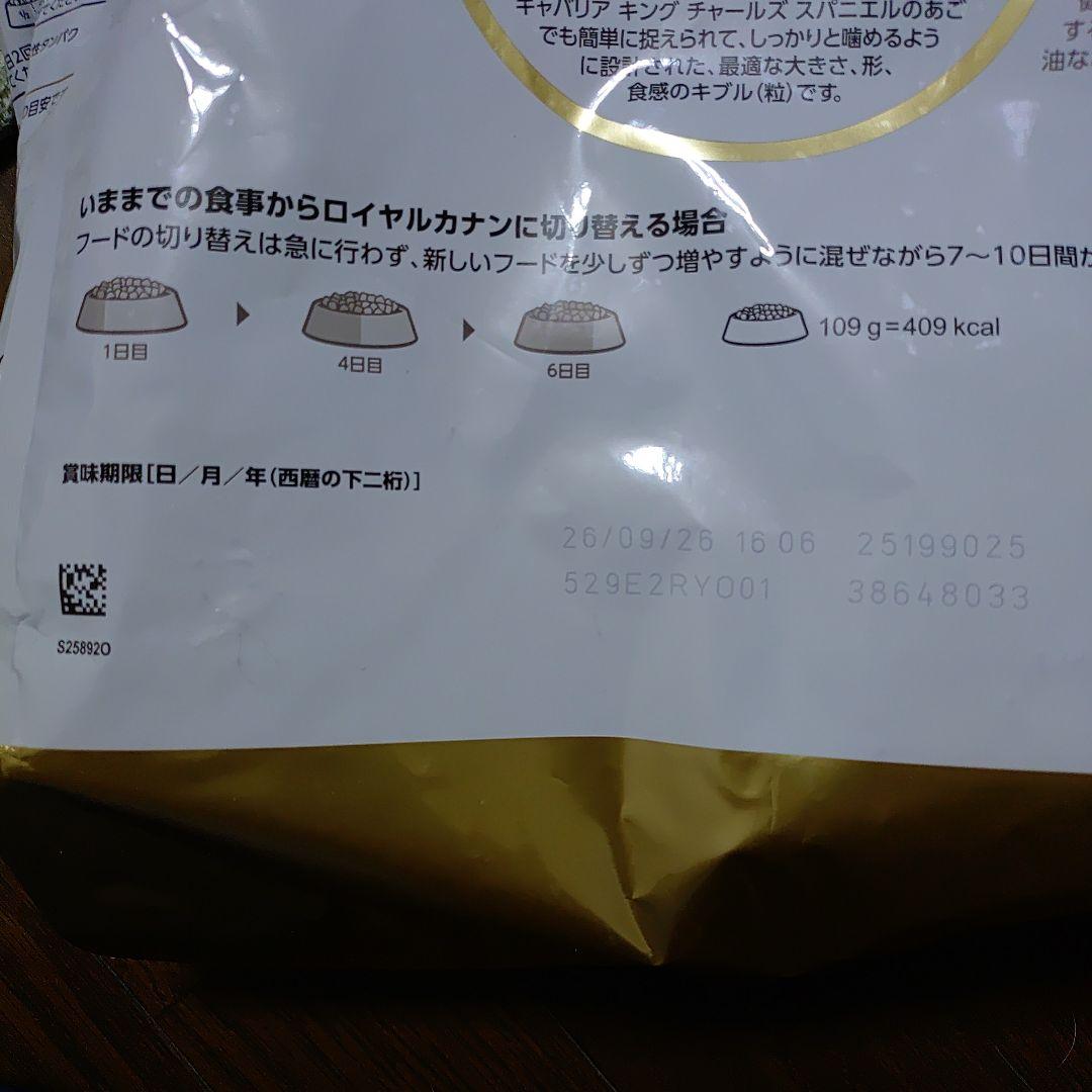  CANIN キング チャールズ スパニエル 6キロ