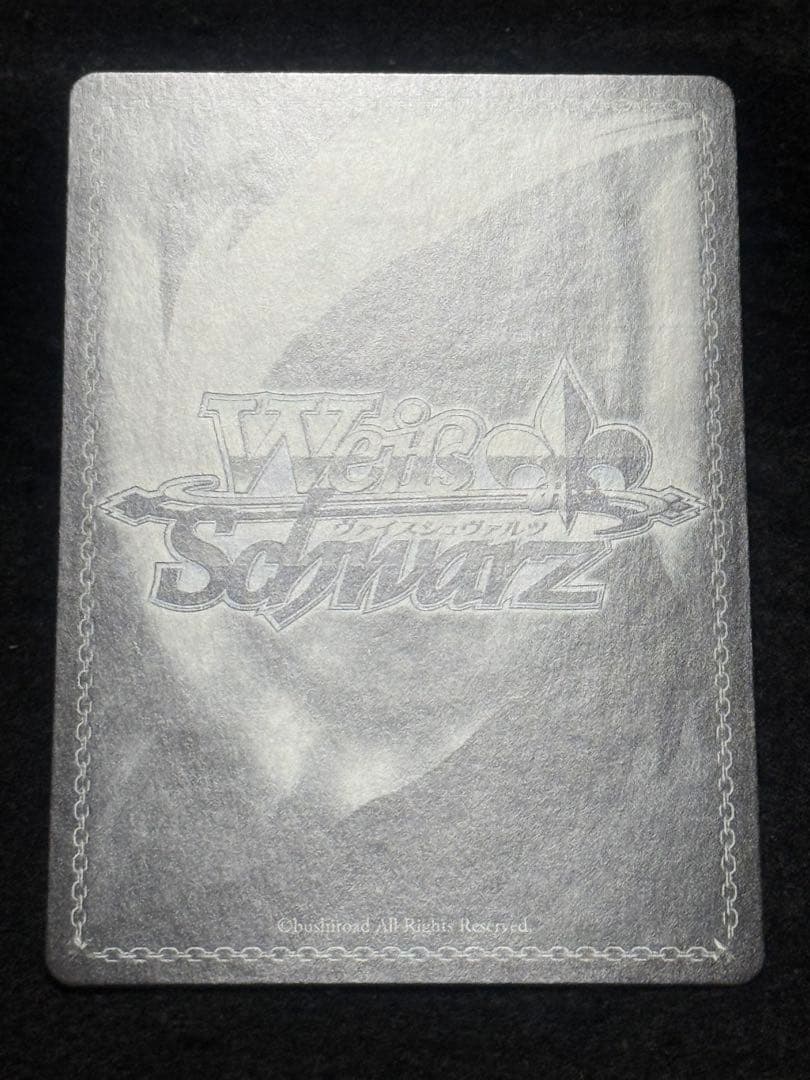 【マグネットローダー付き】ニュージャージー　SP