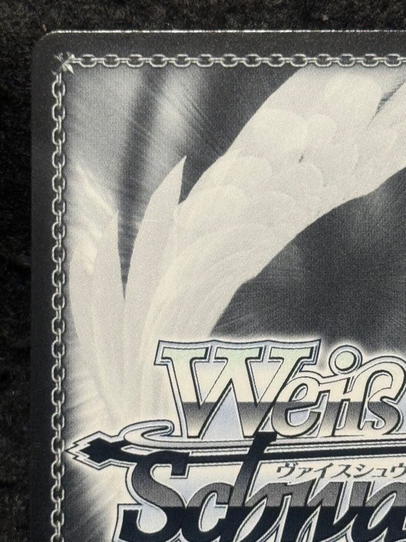 【マグネットローダー付き】ニュージャージー　SP