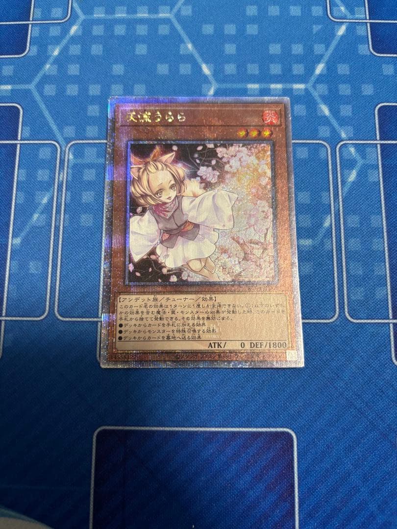 遊戯王 灰流うらら 25th