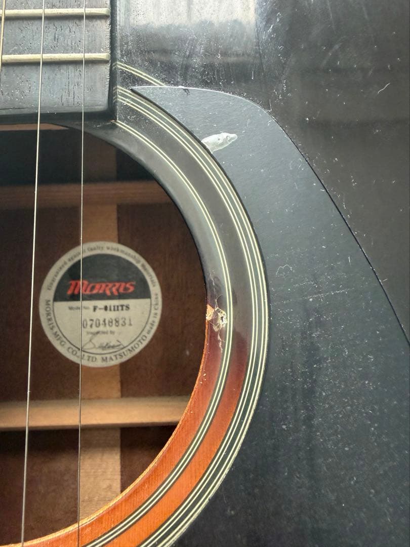 Morris アコースティックギター サンバースト