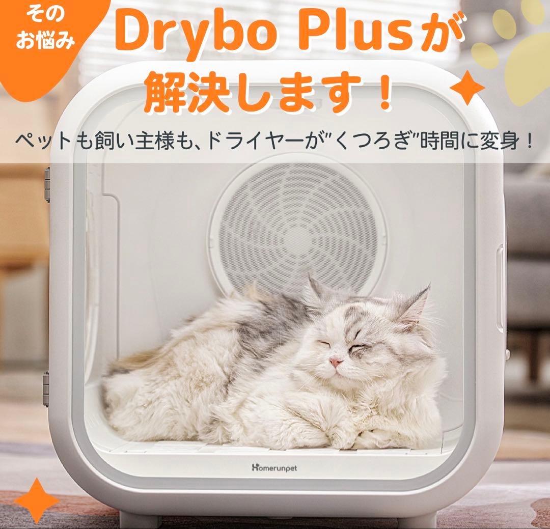 【美品】runpet PD50LE5NPN Drybo Plus