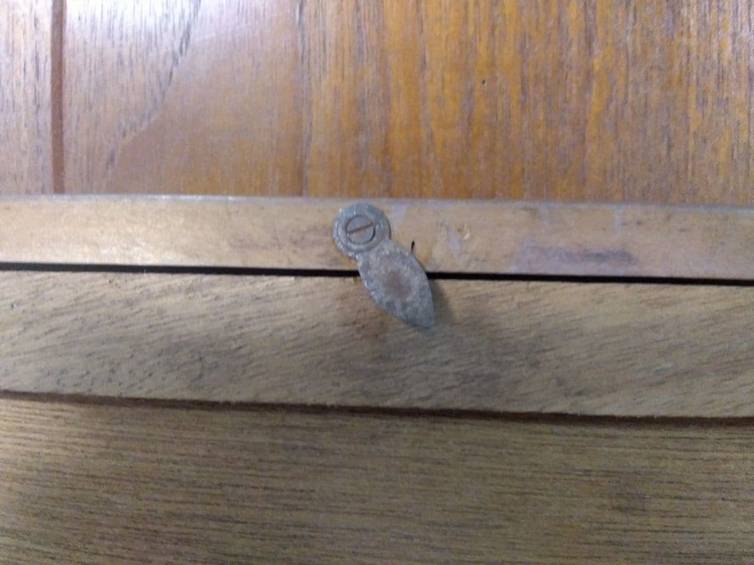 絵画シリーズNO9  油彩画 静物画  後藤 義考画伯   「バラと桃」 F6号