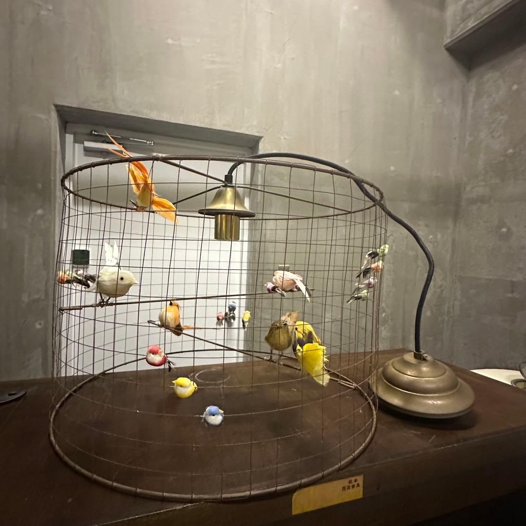 la voliere lamp (by Mathieu Challiéres)