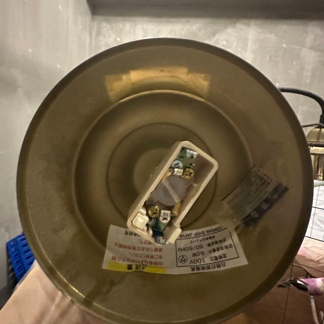 la voliere lamp (by Mathieu Challiéres)