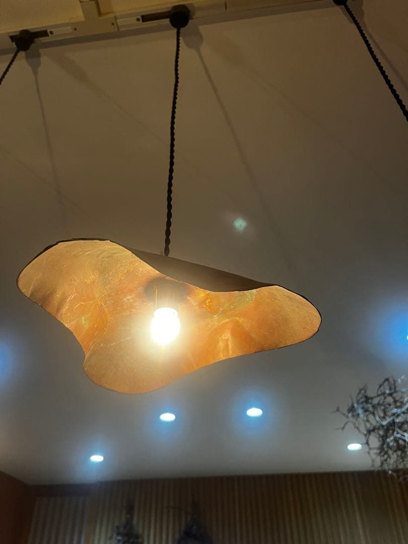 アンティーク　ペンダントライト　17e