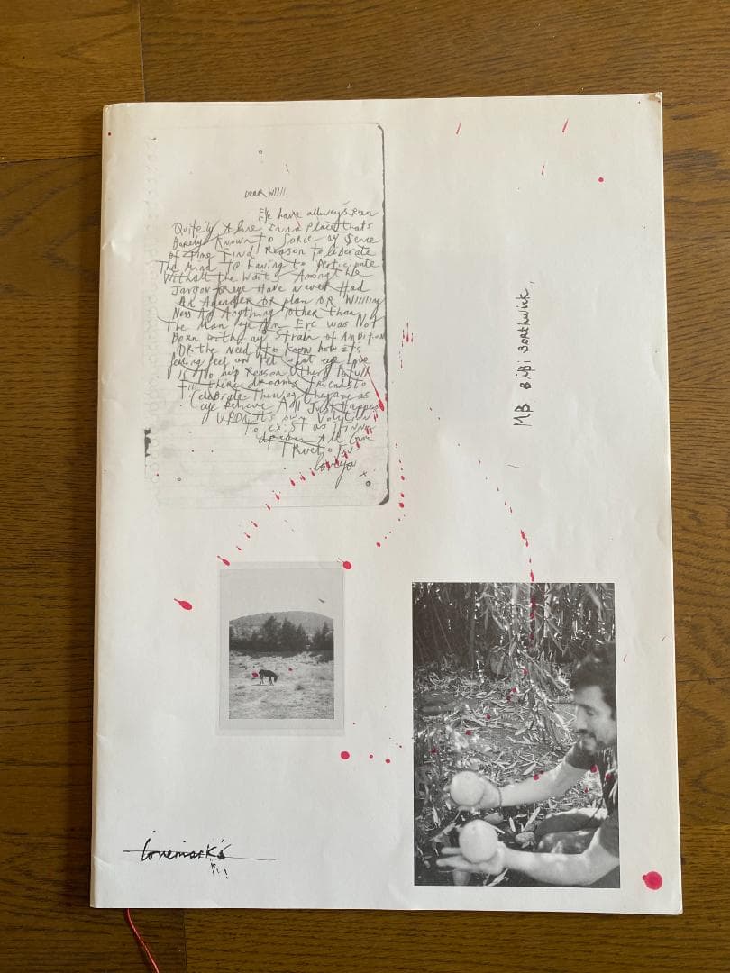 マーク・ボスウィック　100部限定　アートブック 貴重　オリジナルプリント付