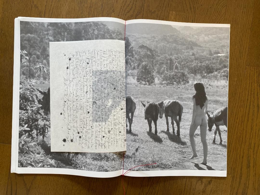 マーク・ボスウィック　100部限定　アートブック 貴重　オリジナルプリント付