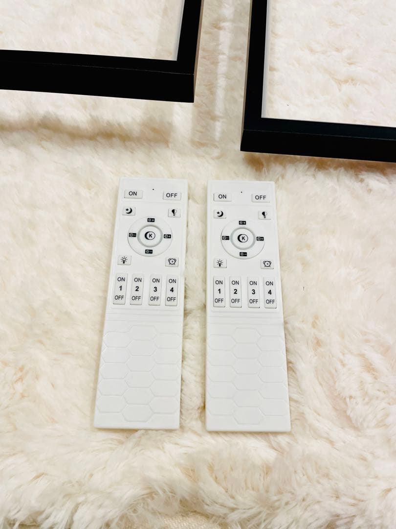 ブラックシーリングライト モダンデザイン　おしゃれ　2個セット