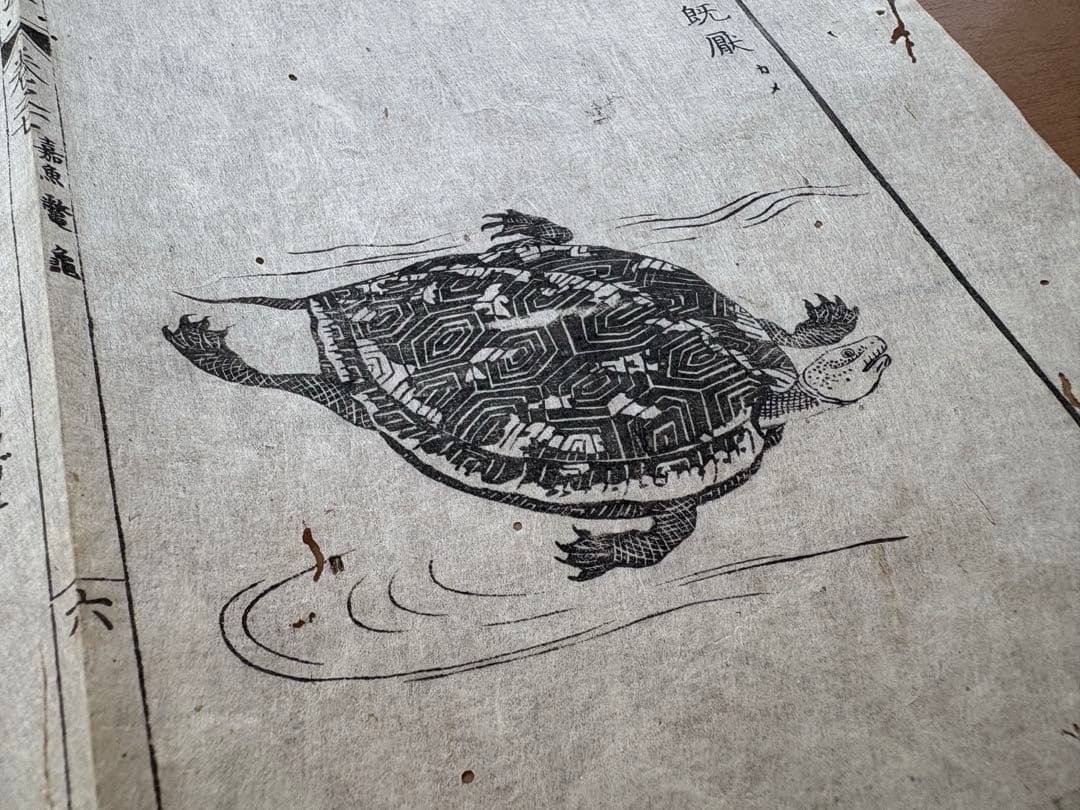 スイレン様 リクエスト 4点 まとめ商品