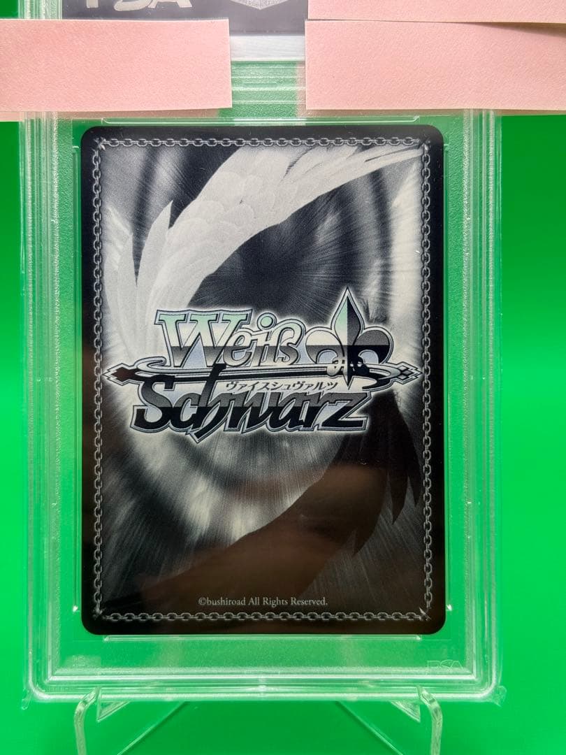 sakuta　君と過ごした一年間　桜島 麻衣