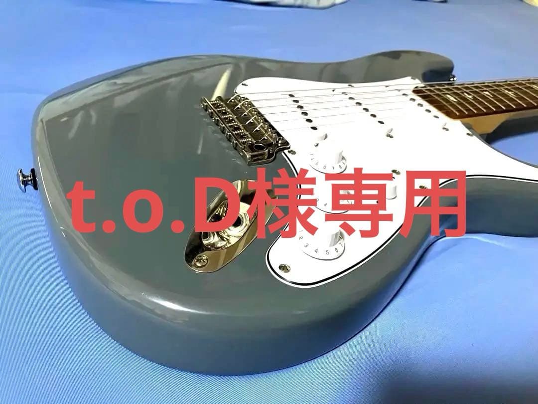 t.o.D[ほぼ新品]Silver sky PRS SE