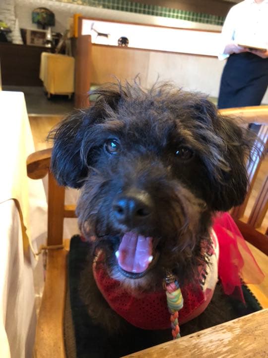 小夏確認用写真