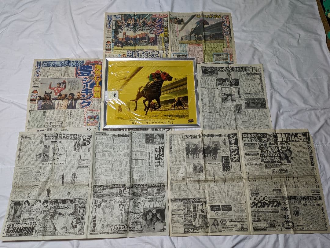シーキングザパール　武豊　競走馬　写真パネル　額縁入り　スポーツ新聞付き