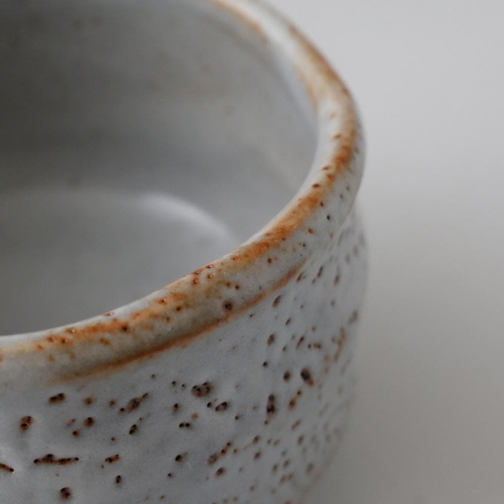 明治神宮奉献の窯 美濃焼窯元 秀山窯 志野茶碗 茶道具 共箱 栞