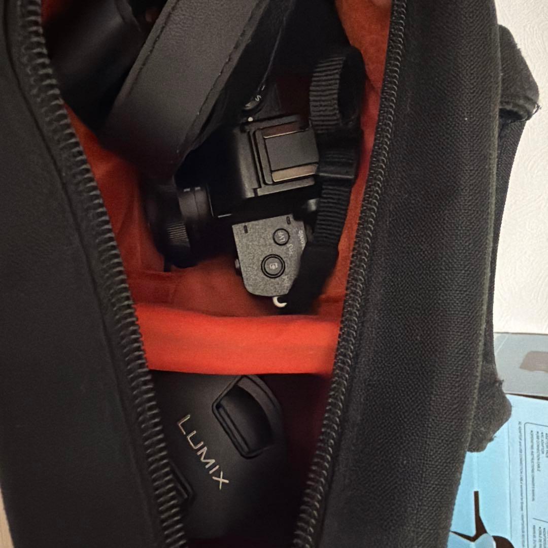 パナソニック　LUMIX ミラーレス　デジタルカメラ　DC-G100D