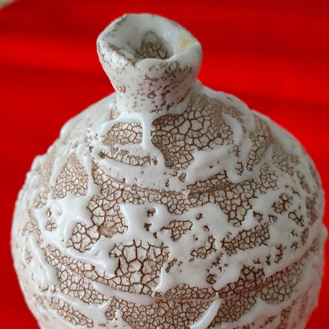 壺　岩月竹光　志野 C