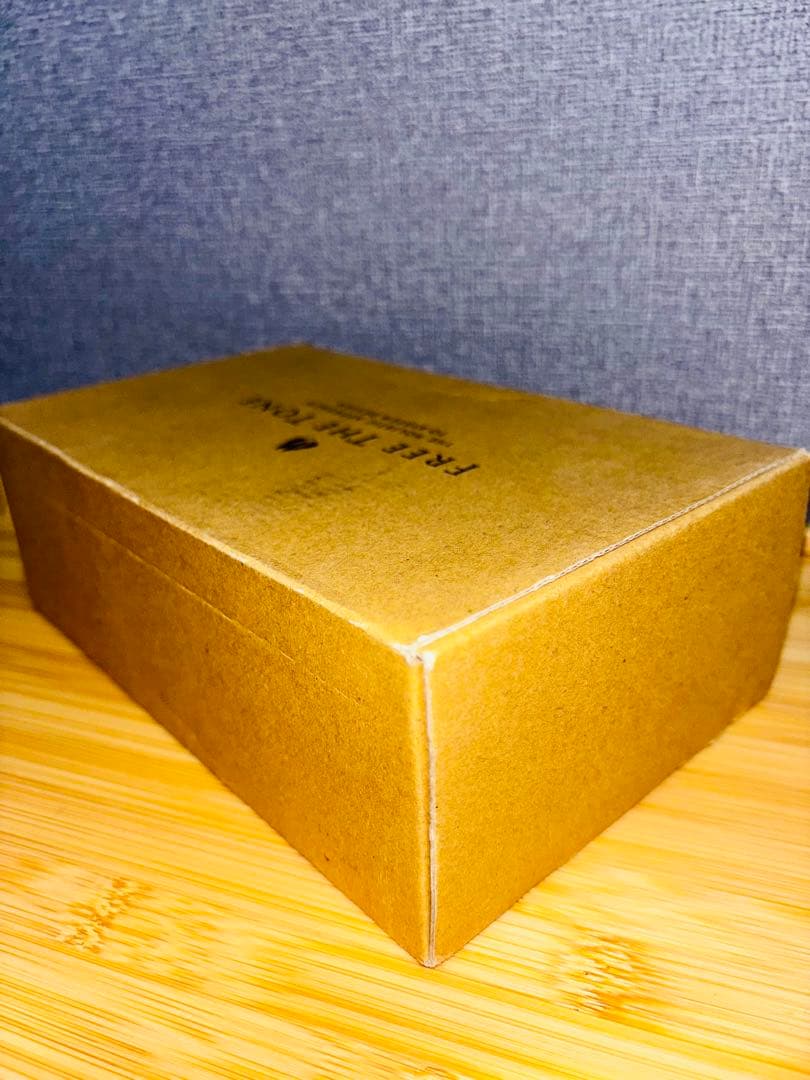 ギター Free The Tone FLIGHT TIME FT-1Y