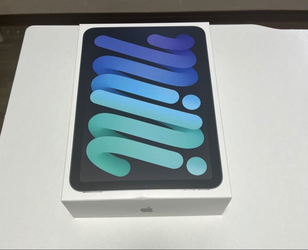 【美品】iPad mini 第７世代Wi-Fiモデル