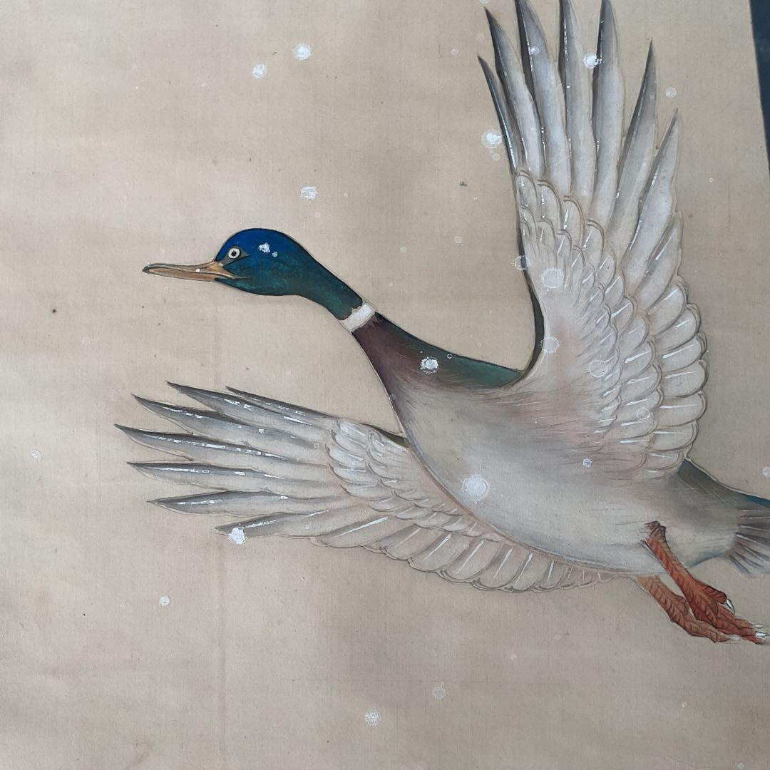 碧 洋 作 絹本 花鳥画 【 雪に鴨図 】 軸先木細工 桐箱