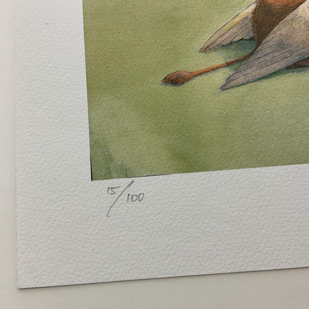 鏡の国のアリス／リスベート・ツヴェルガー作