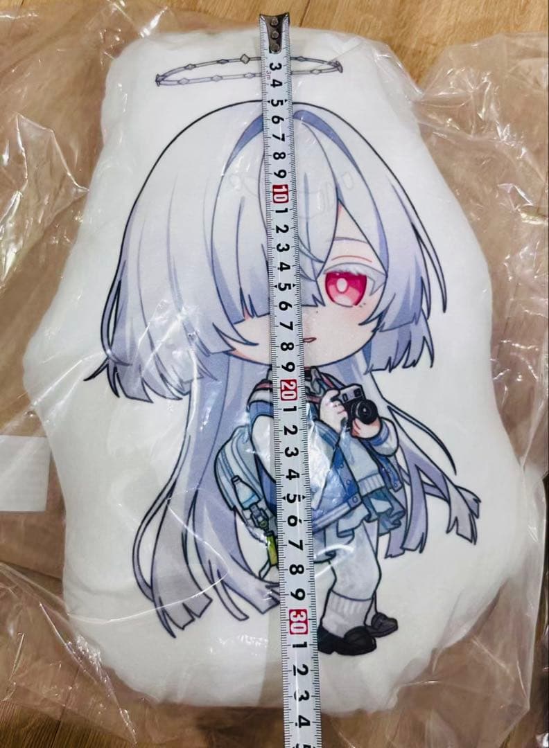 韓国限定 鳴潮 キャンパス モーニエ クッション