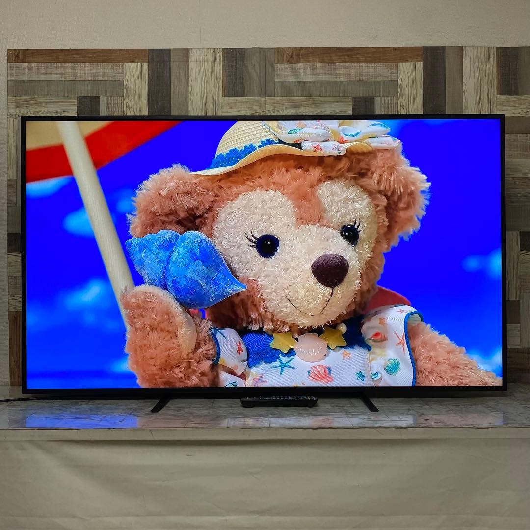 即日受渡❣️全国送料込Panasonic65型液晶ディスプレイスピーカーリモコン付